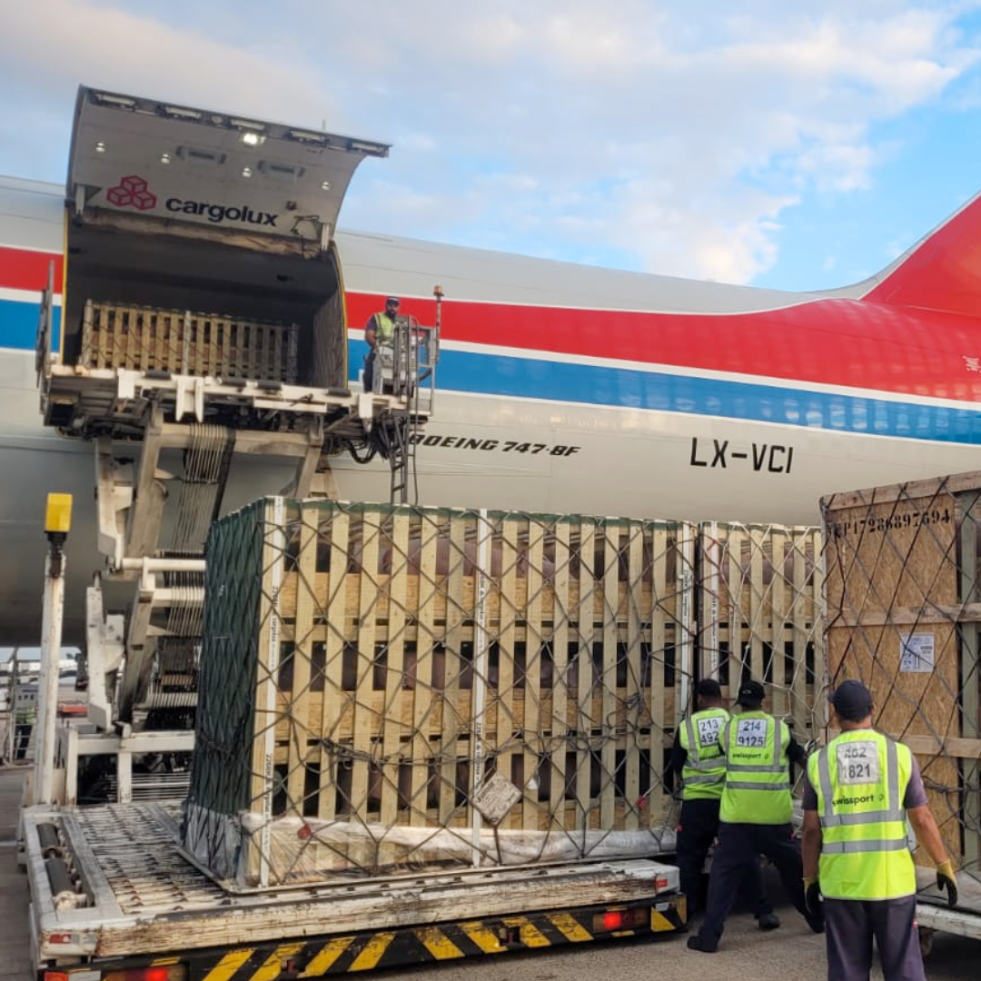 DanBred Brasil realiza primeira importação de 2025 e reforça compromisso com o avanço genético na suinocultura